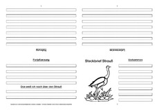 Strauß-Faltbuch-vierseitig.pdf
